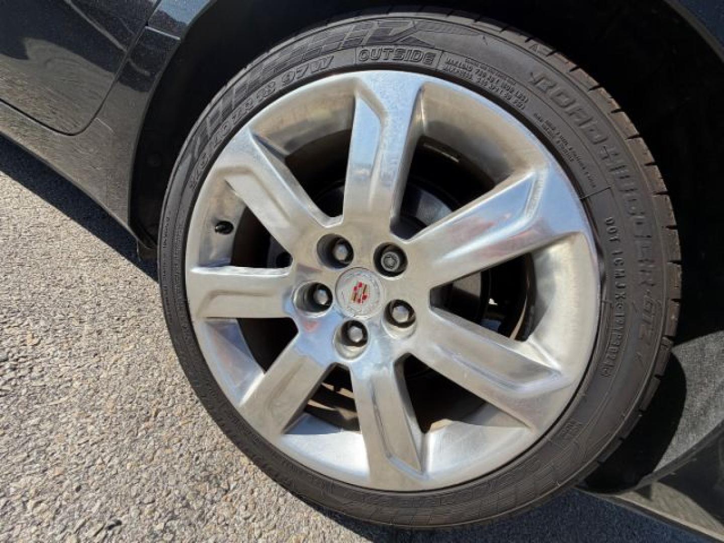 $view_url - Photo#10