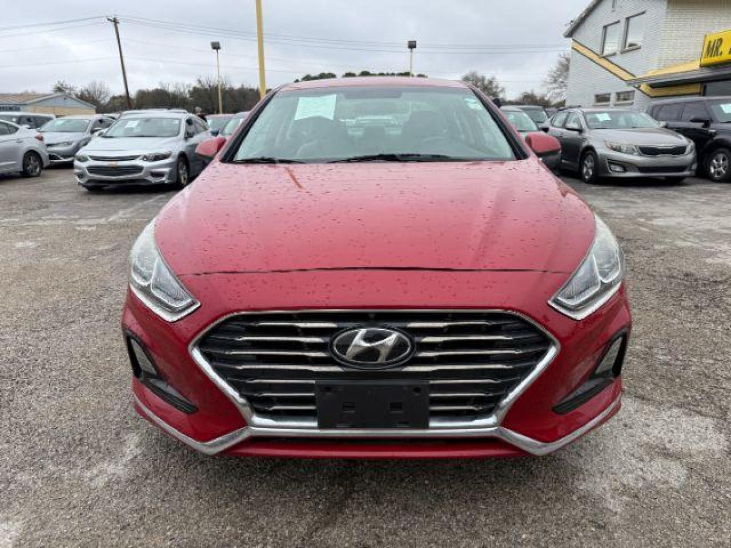 2019 RED Hyundai Sonata SE (5NPE24AF5KH) with an 2.4L L4 DOHC 16V engine, 7-Speed Automatic transmission, located at 2715 W Pioneer Pkwy, Arlington, TX, 76013, (817) 265-9009, 32.710262, -97.153236 - Photo#4