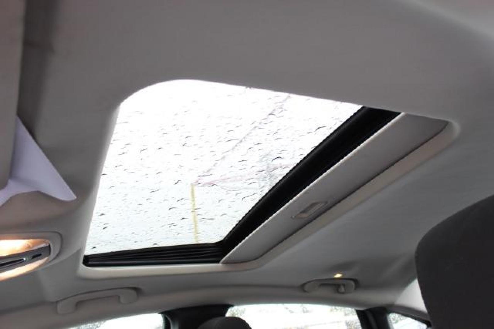 $view_url - Photo#20