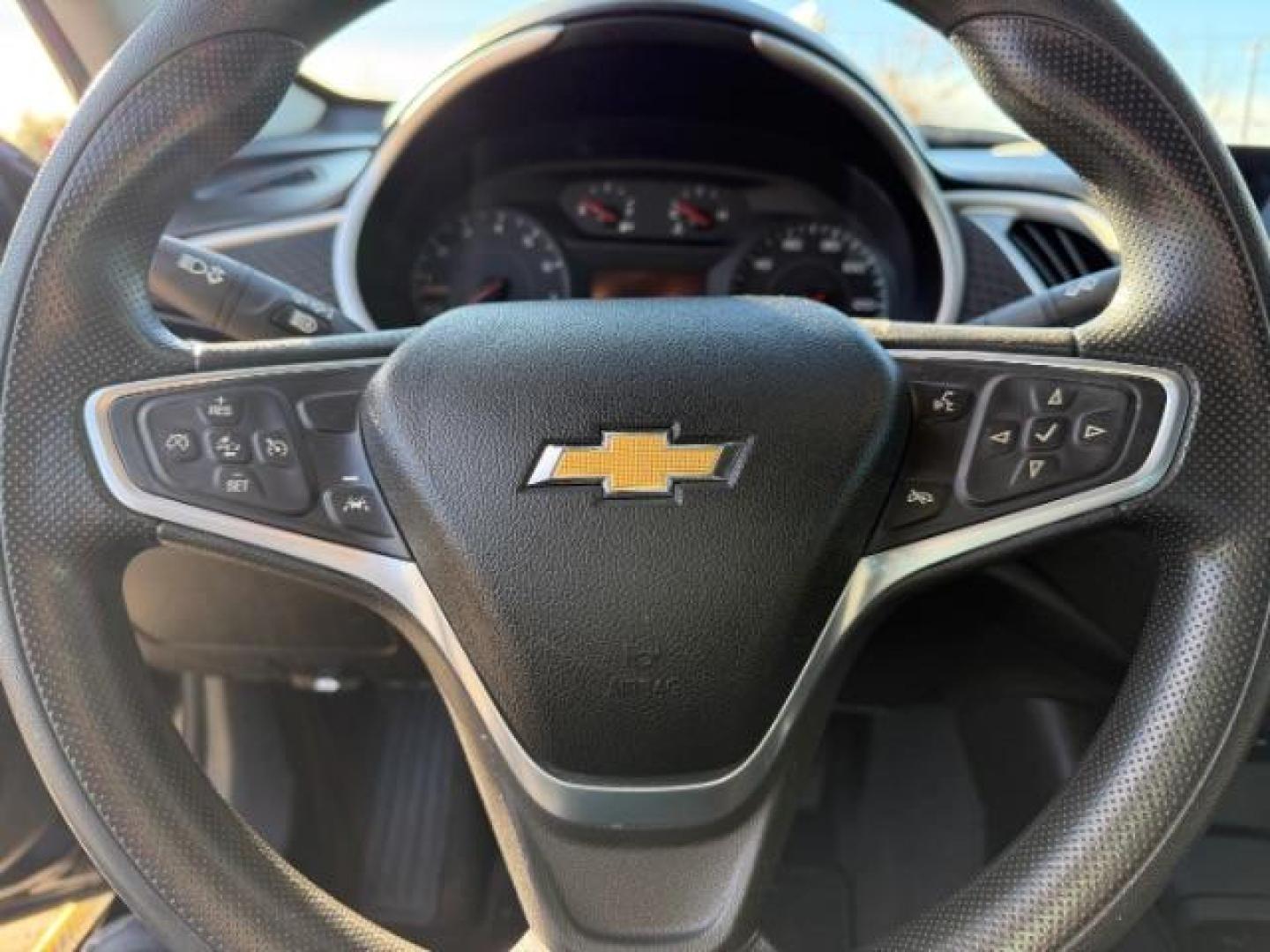 $view_url - Photo#17