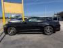 2017 GRAY Ford Mustang EcoBoost (1FA6P8TH5H5) with an EcoBoost 2.3L I-4 gasoline direct injection engine, located at 2715 W Pioneer Pkwy, Arlington, TX, 76013, (817) 265-9009, 32.710262, -97.153236- Photo#1