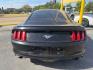 2017 GRAY Ford Mustang EcoBoost (1FA6P8TH5H5) with an EcoBoost 2.3L I-4 gasoline direct injection engine, located at 2715 W Pioneer Pkwy, Arlington, TX, 76013, (817) 265-9009, 32.710262, -97.153236- Photo#6