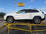 2019 WHITE Jeep Cherokee Latitude Plus 4x4 (1C4PJMLB4KD) , located at 2715 W Pioneer Pkwy, Arlington, TX, 76013, (817) 265-9009, 32.710262, -97.153236- Photo#2