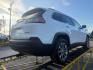 2019 WHITE Jeep Cherokee Latitude Plus 4x4 (1C4PJMLB4KD) , located at 2715 W Pioneer Pkwy, Arlington, TX, 76013, (817) 265-9009, 32.710262, -97.153236- Photo#6